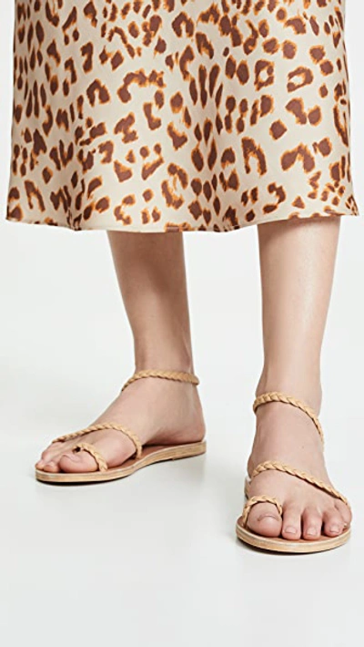Ancient Greek Sandals Eleftheria Sandals Natural In Natural