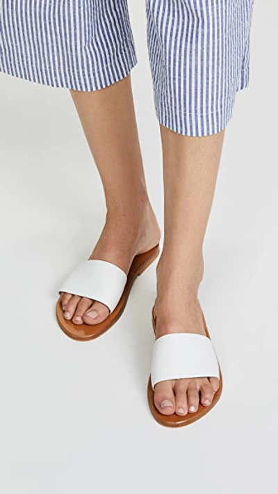 Shop Kjacques Arezzo Slides In Pul Blanc