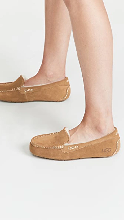 Shop Ugg Ansley Slippers Chestnut