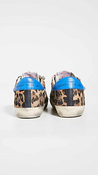 Shop Golden Goose Superstar Sneakers In Snow Leopard/royal