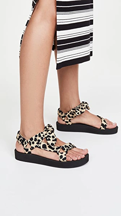 Shop Loeffler Randall Maisie Sport Sandals In Leopard