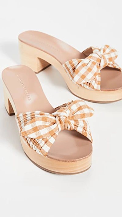 Shop Loeffler Randall Regina Clog Slide Sandals In Amber Gingham