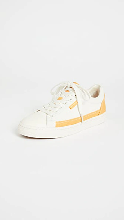 Shop Tory Burch Classic Court Sneakers In Ivory/curry Yellow