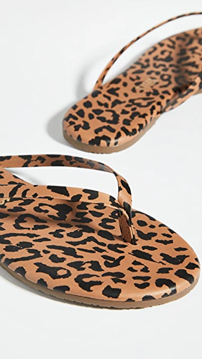 Shop Tkees Studio Exotic Flip Flops In Cheetah