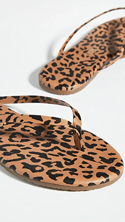 Tkees Studio Exotic Cheetah-print Flip Flops In Cheetah