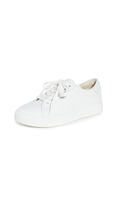 Shop Sam Edelman Ethyl Sneakers In Bright White