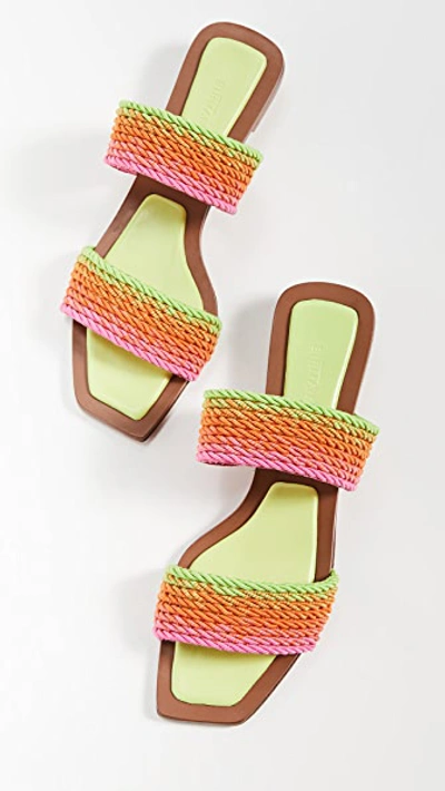 Shop Alexandre Birman Georgia Flat Sandals In Sunny Lime/frozen Mango/bubble