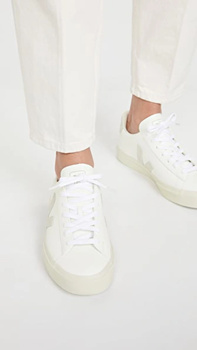 Shop Veja Campo Sneakers Extra White/natural Suede