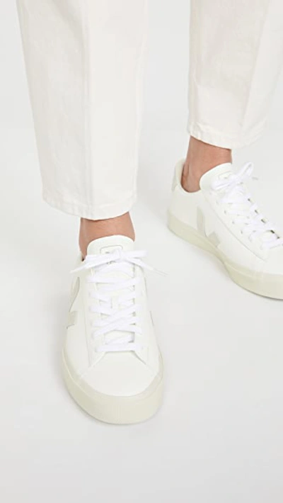 Veja Campo Sneakers In Extra White/natural Suede