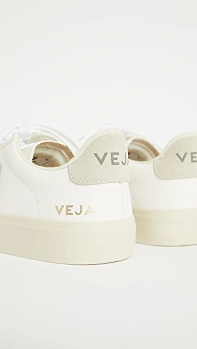 Shop Veja Campo Sneakers Extra White/natural Suede