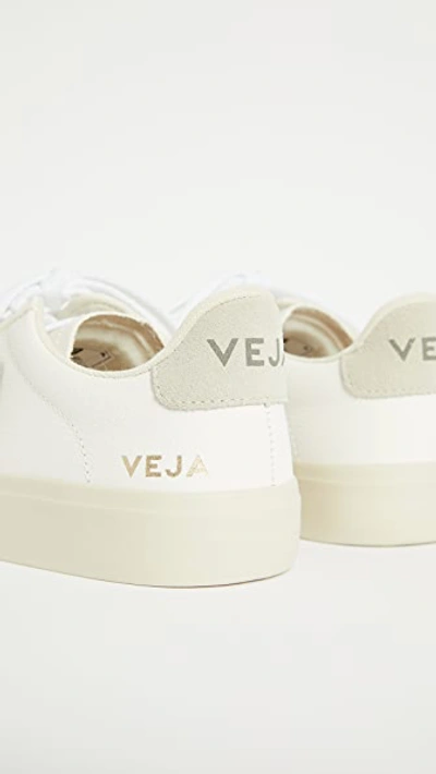 Veja Campo Sneakers In Extra White/natural Suede