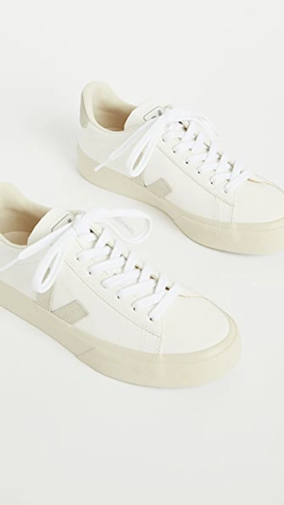 Veja Campo Sneakers In Extra White/natural Suede