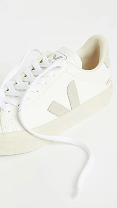 Veja Campo Sneakers In Extra White/natural Suede