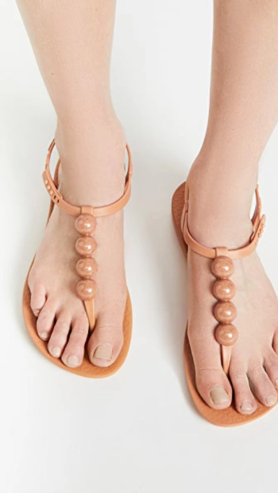 Shop Ipanema Pearl Ii T Strap Sandals In Beige