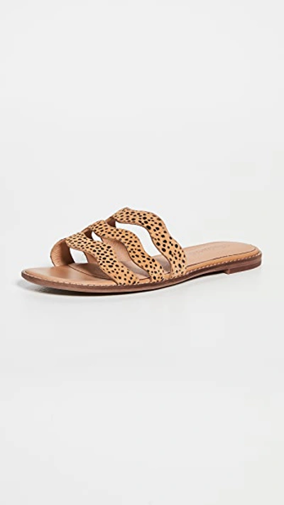 Shop Madewell Joy Wavy Sandals In Amber Brown Multi