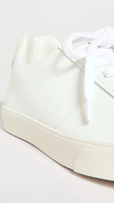 Veja Embroidered-logo Low-top Sneakers In Extra White