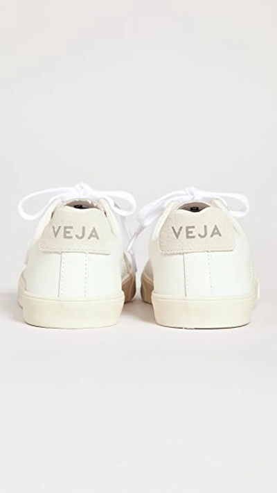 Veja Embroidered-logo Low-top Sneakers In Extra White