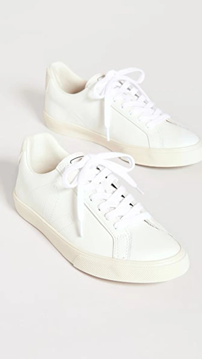 Shop Veja Esplar Low Sneakers Extra White