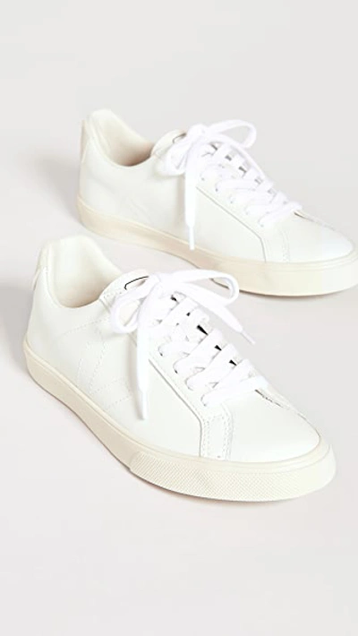 Veja Embroidered-logo Low-top Sneakers In Extra White