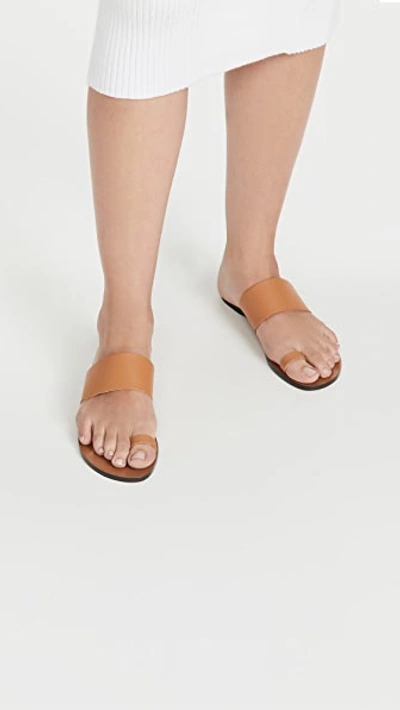 Shop Atp Atelier Astrid Toe Ring Sandals
