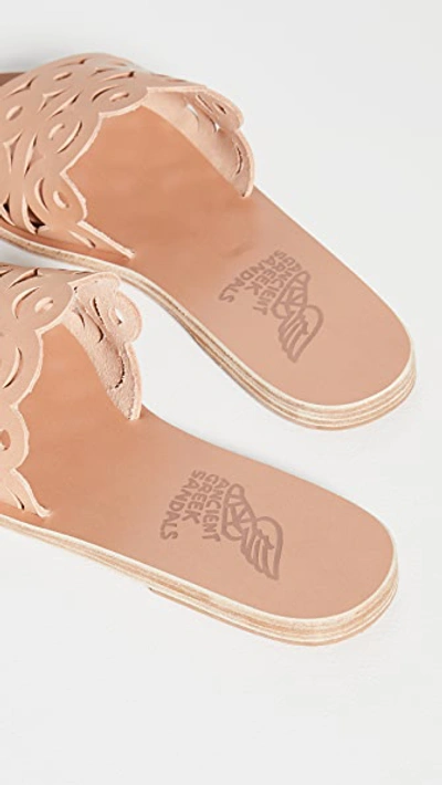 Shop Ancient Greek Sandals Maistros Slides In Natural
