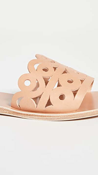 Shop Ancient Greek Sandals Maistros Slides In Natural