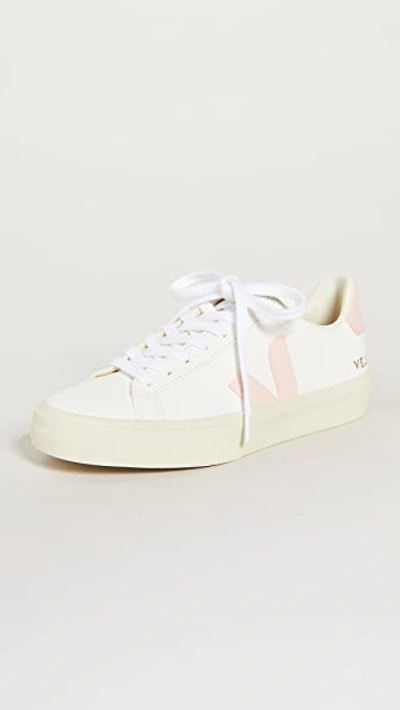 Shop Veja Campo Sneakers Extra/white/petale