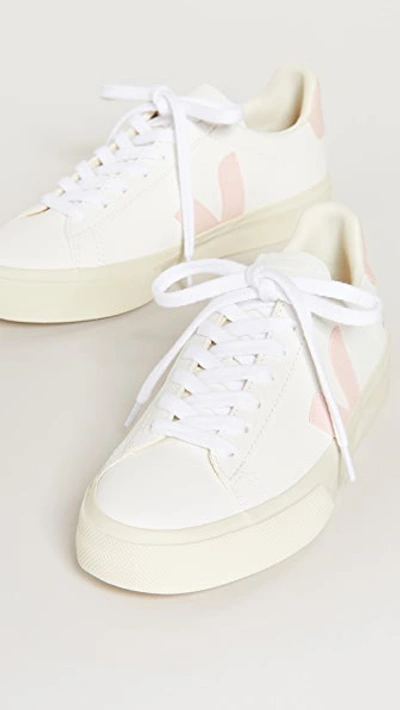 Shop Veja Campo Sneakers Extra/white/petale