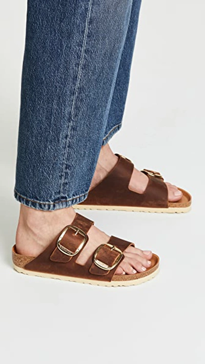 Shop Birkenstock Arizona Big Buckle Sandals Antique Cognac