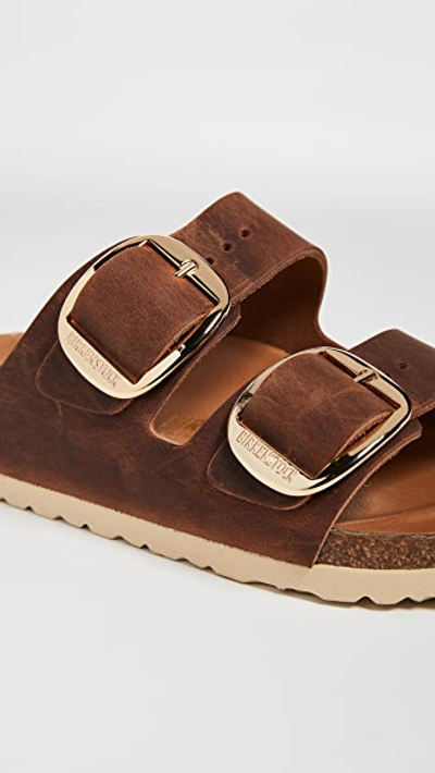 Shop Birkenstock Arizona Big Buckle Sandals Antique Cognac