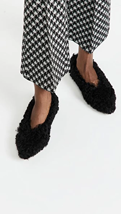 Shop Marni Ballerina Flats