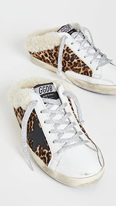 Shop Golden Goose Sabot Sneakers In White/brown/black