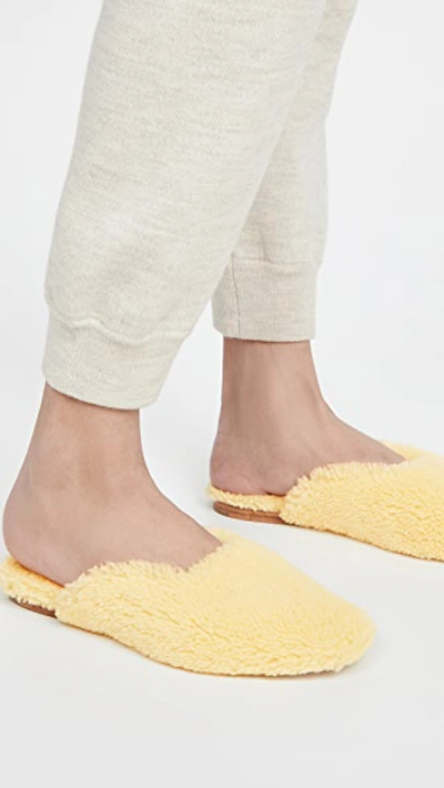 Shop Sleeper Shearling Slippers In Yellow