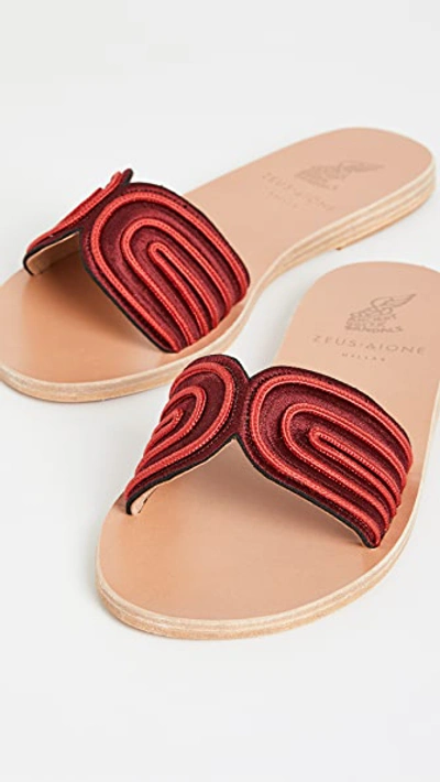 Shop Ancient Greek Sandals X Zeus + Dione The Harness Slides In Bordeaux/red
