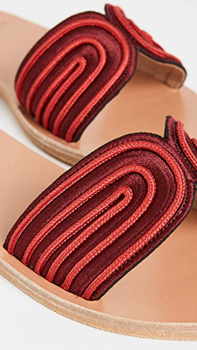 Shop Ancient Greek Sandals X Zeus + Dione The Harness Slides In Bordeaux/red