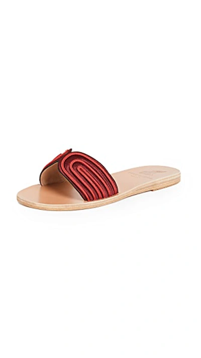 Shop Ancient Greek Sandals X Zeus + Dione The Harness Slides In Bordeaux/red