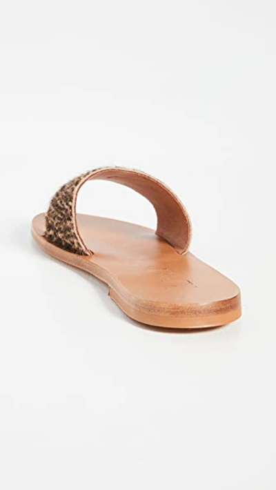 Shop K.jacques Arezzo Slides In Horsey Bableopard