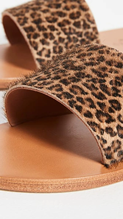 Shop K.jacques Arezzo Slides In Horsey Bableopard