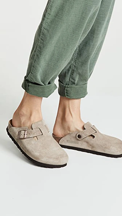 Shop Birkenstock Boston Sfb Clogs Taupe