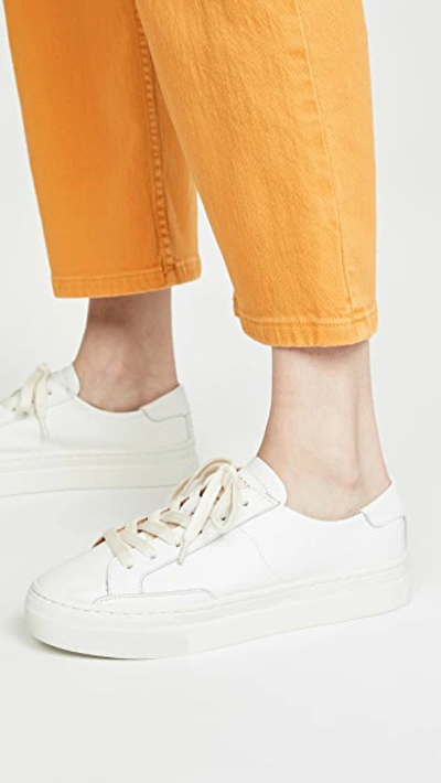 Ibiza Platform Sneakers