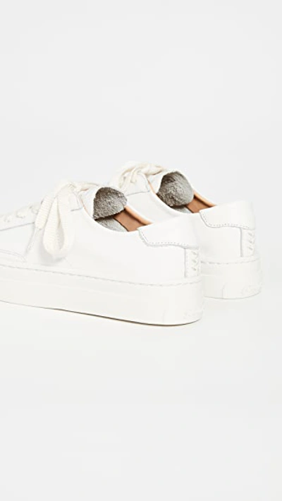 Ibiza Platform Sneakers
