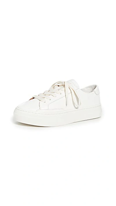 Ibiza Platform Sneakers