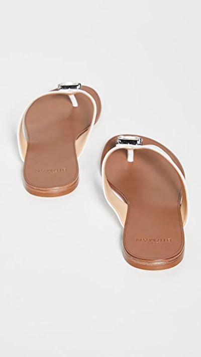 Shop Alexandre Birman Antonia Crystal Flat Sandals In White/cristal/onyx