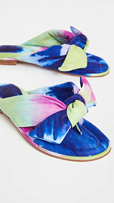 Shop Alexandre Birman Soft Clarita Flat Sandals In Bright