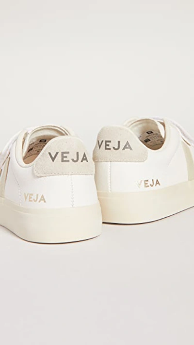 Shop Veja Recife Logo Sneakers