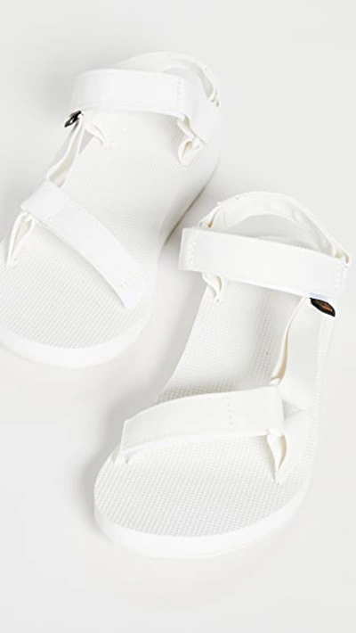 Shop Teva Original Universal Sandals Bright White 11