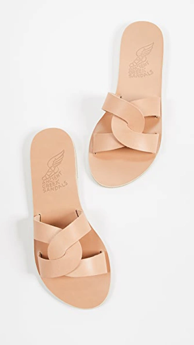 Shop Ancient Greek Sandals Desmos Slide Natural