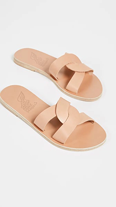 Shop Ancient Greek Sandals Desmos Slides Natural