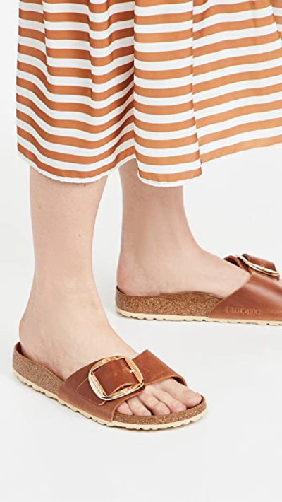 Birkenstock Madrid Big Buckle 1006525 Sandals Unisex Cognac Slide Gal1709 In Multi