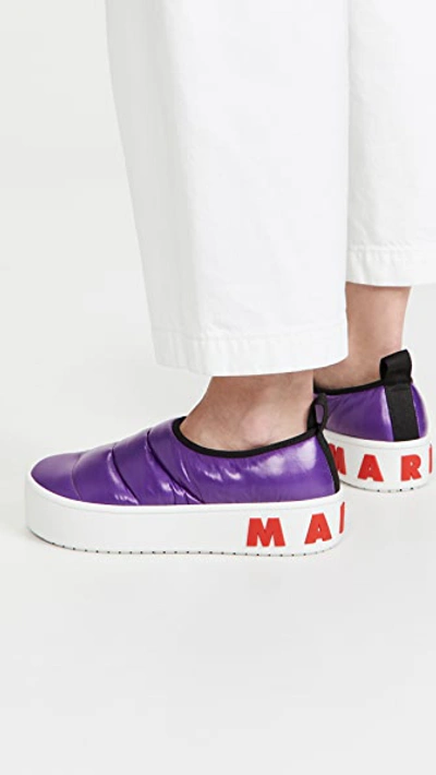 Shop Marni Paw Sneakers